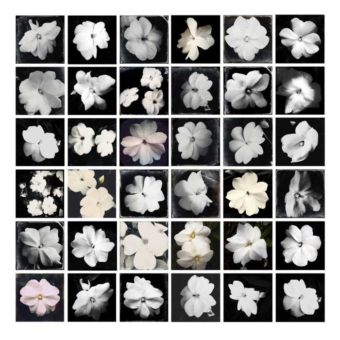 Adriane Stark, the celebrated fine art p