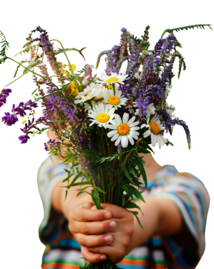 Bruce Beginnings_ Spring Flowers