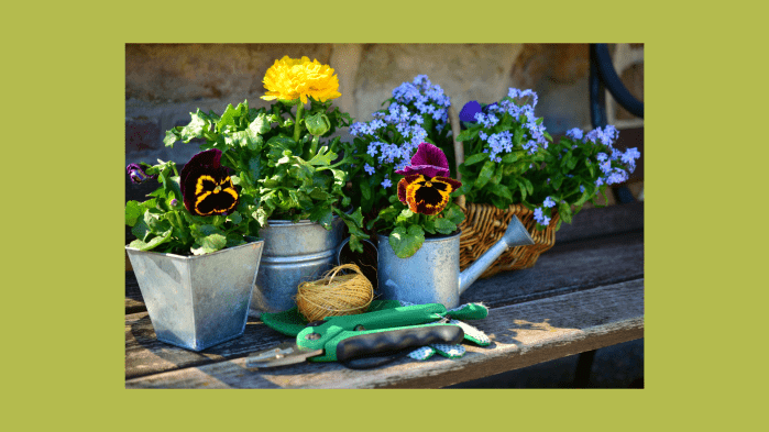 Create your own custom flower pot with t