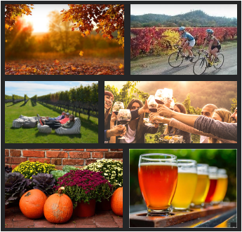 FALLCOLLAGE
