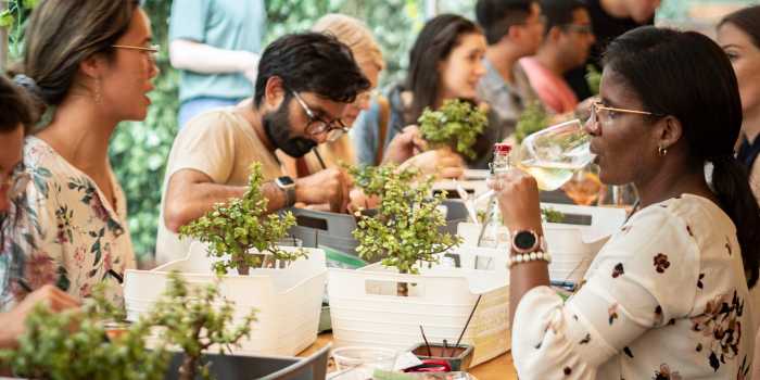 Beginner workshops are perfect for you t