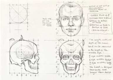 HEAD PROPORTIONS