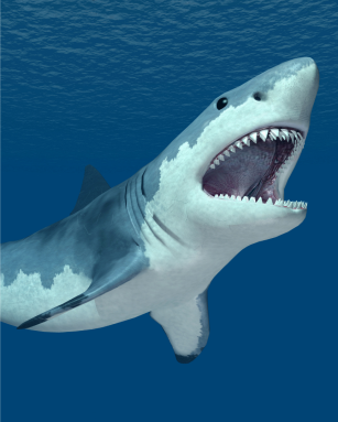 JAWS-some Scavenger Hunt