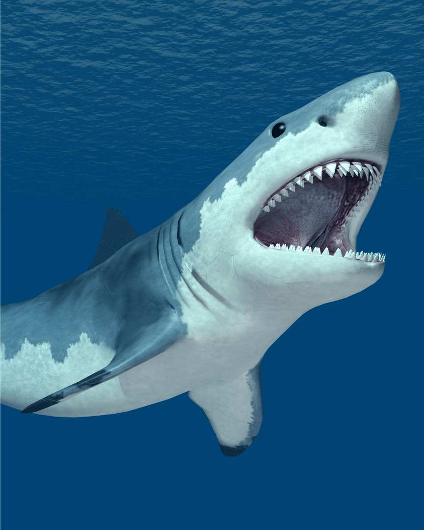 JAWS-some Scavenger Hunt