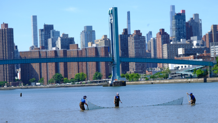 Join RIPA’s Natural Areas team for a fun