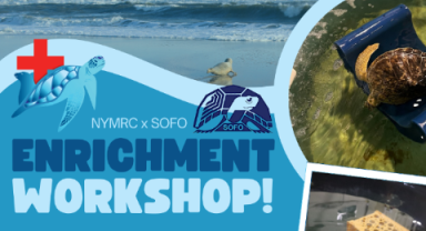 NYMRC x SOFO enrichment