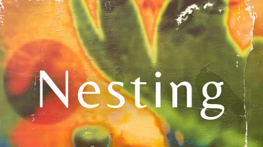 Nesting Graphics