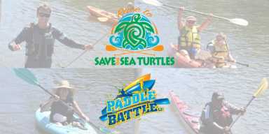 Race to save the sea turtles
