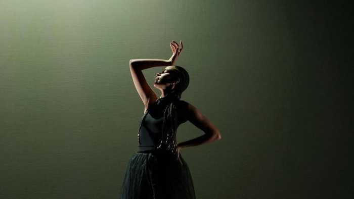 Stefanie Nelson Dancegroup presents The