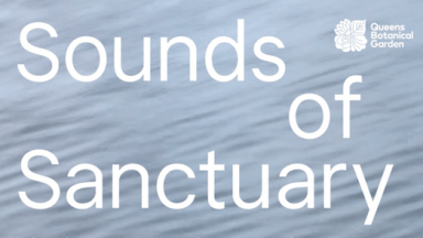 Sounds of Sanctuary Banner