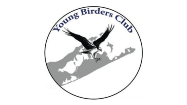 Young-Birders-Club
