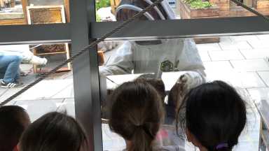 bee pic 3
