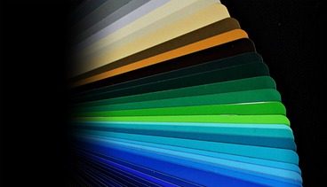 color palette
