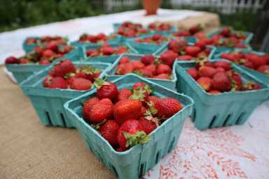 qf-calendar-Strawberry-Festival-2025-06