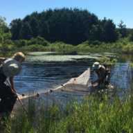 Kermit the Frog Provides First Graduation Since Southampton 7 seining for freshwater pond