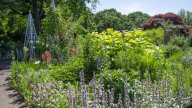 summer_garden-highlights-walk_Wave-Hill_03 (2)