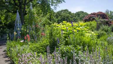 summer_garden-highlights-walk_Wave-Hill_03 (3)