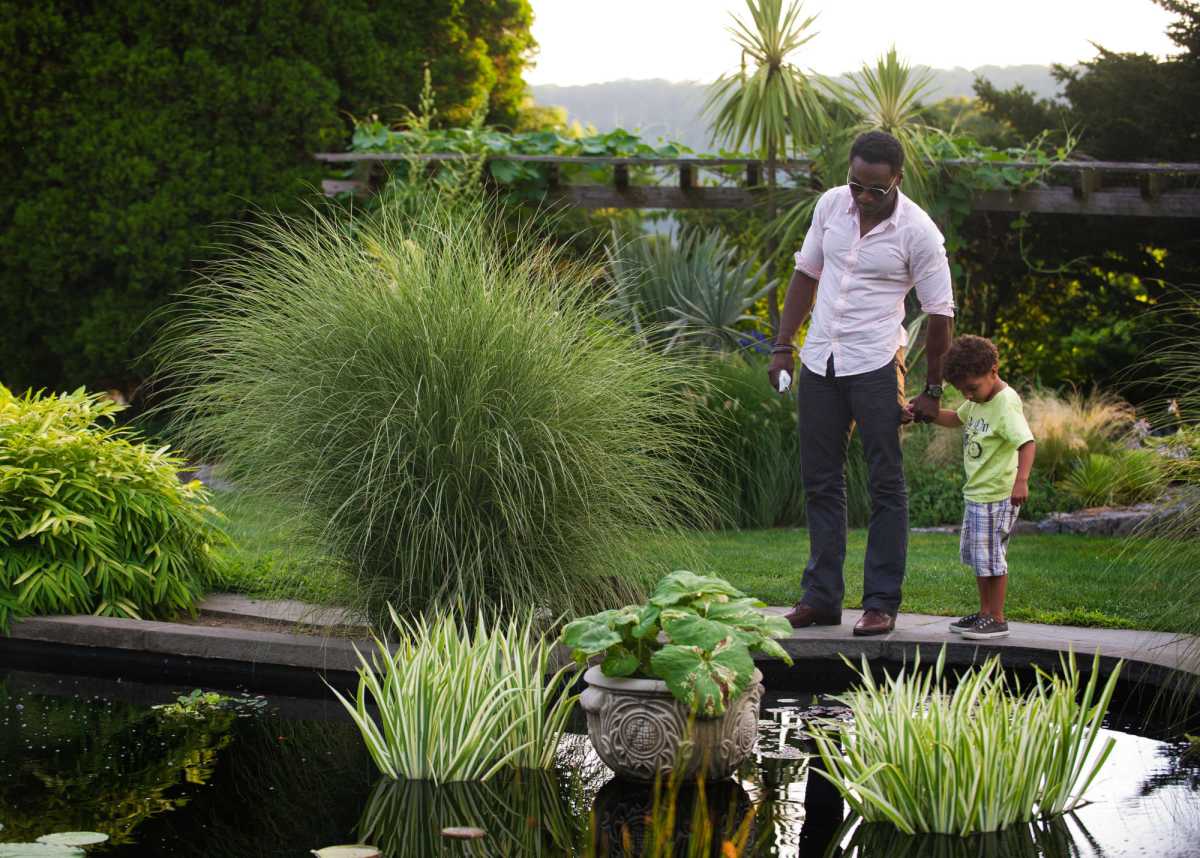wave-hill_Fathers-Day_credit-Joshua-Bright_md