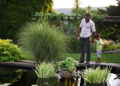 wave-hill_Fathers-Day_credit-Joshua-Bright_md