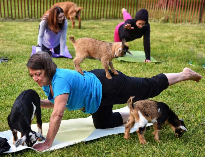 Join an evening of relaxation and fun wi