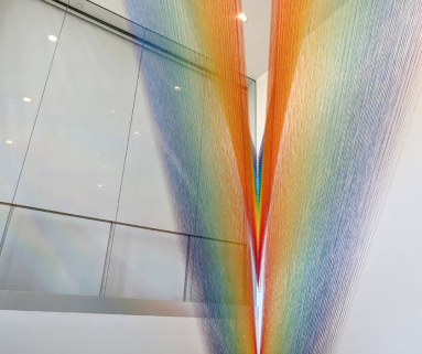 Bruce Beginnings_ Rainbows