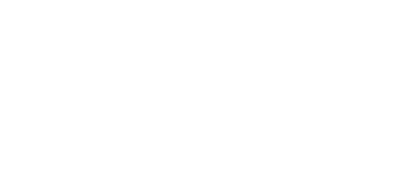 Chelsea Logo