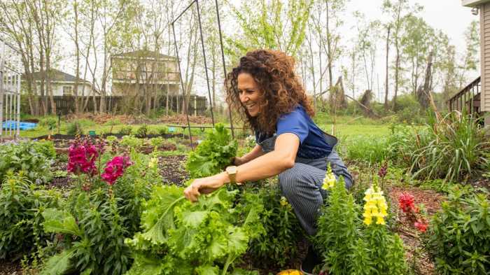 The Short Line is a living garden instal
