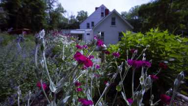 IMG_2512MD3