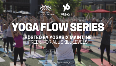 KOPTC-Yoga-Series-Website-390-x-225-px