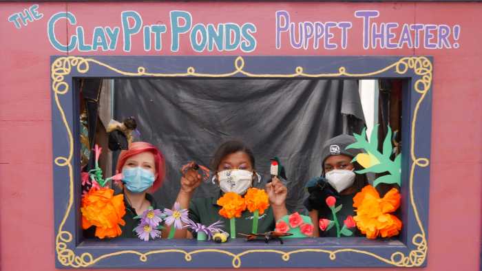 Enjoy our Plight of the Pollinators perf