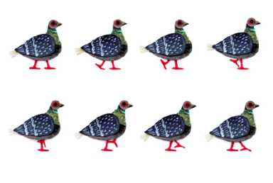 Pigeon_Walk_4x6_Vista