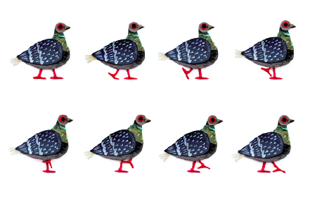 Pigeon_Walk_4x6_Vista