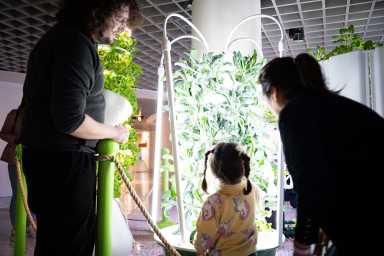 Queens Community Harvest