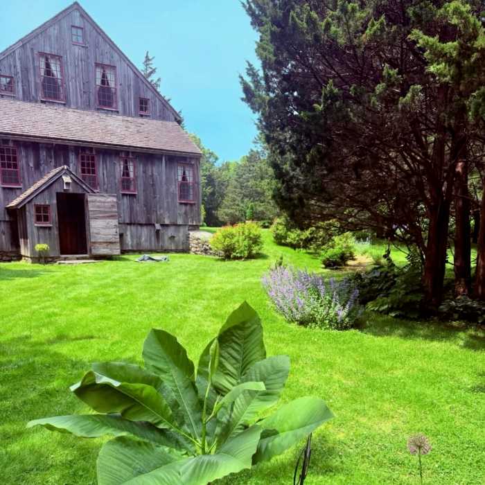 Our annual summer FUNDRAISER – Ple