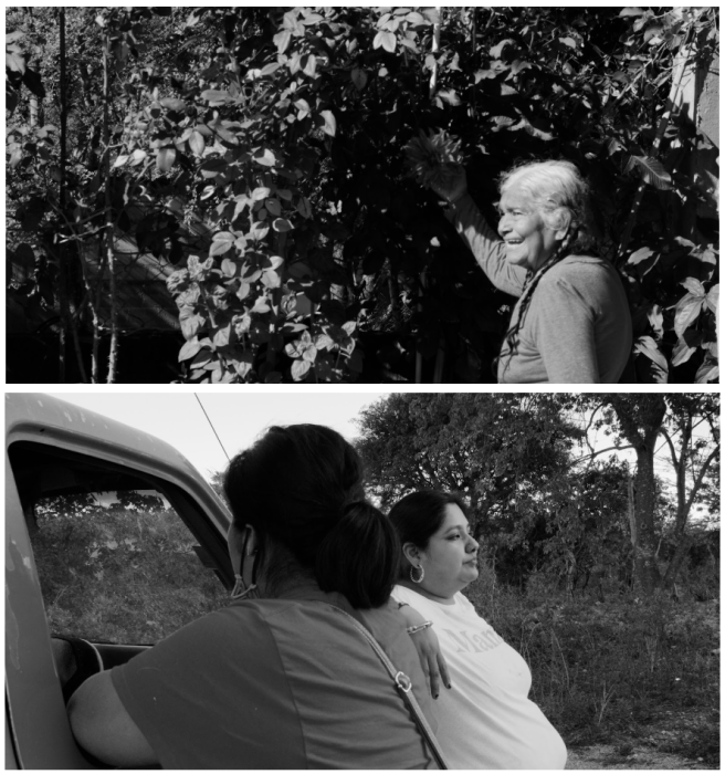 Herencia Viviente: Living Inheritance Wo