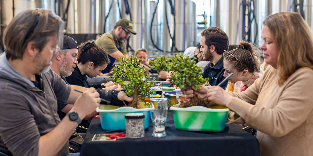 Skeeta Hawk Brewing