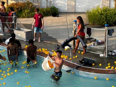 WPF Duck Derby