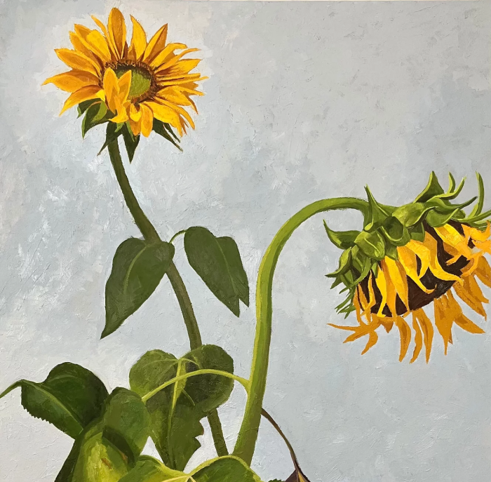 Growing Towards the Sun features work by