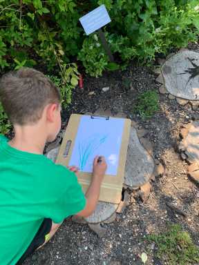 draw-in-garden-scaled