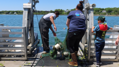 marine-biology-cruise