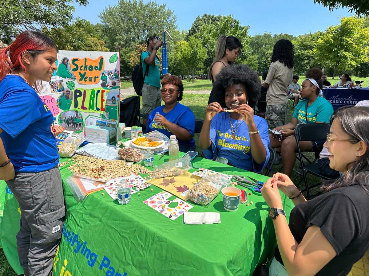 Bronx Summer on the Sound Festival Where the City Meets the Sound