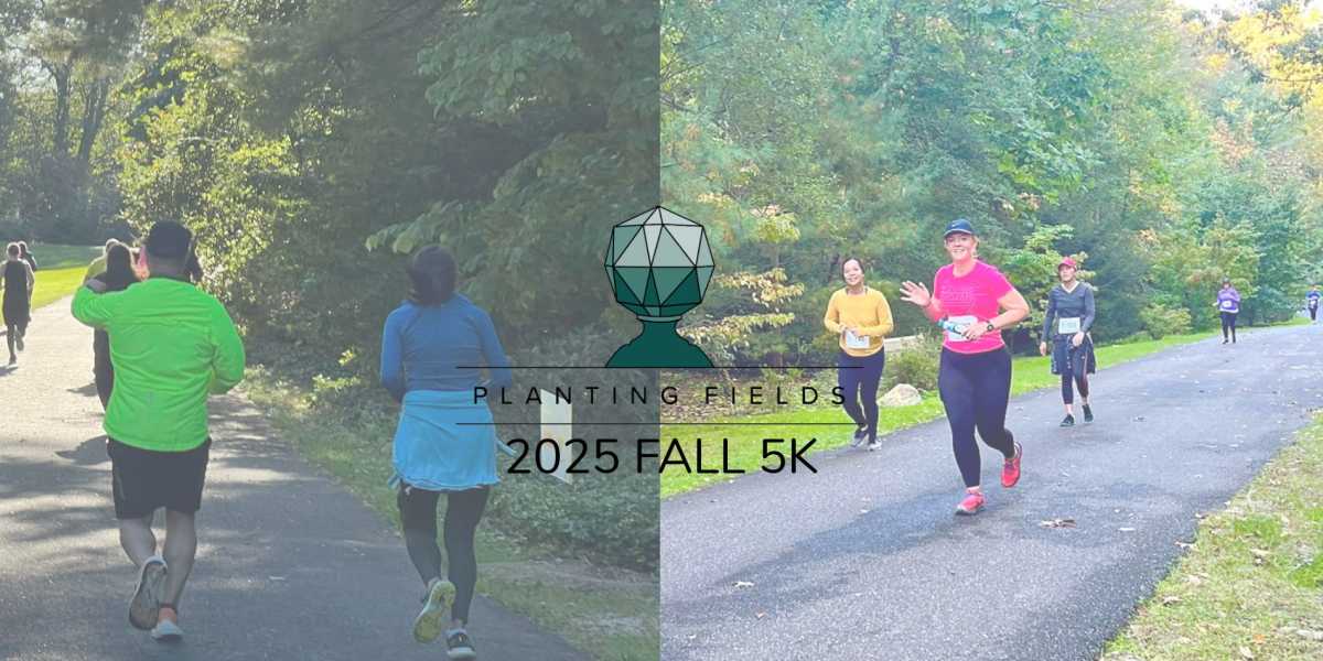 Halloween Spooktacular Fall 5K