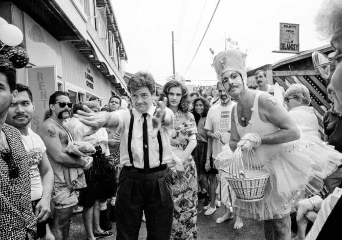 The Cherry Grove Archives Collection pre