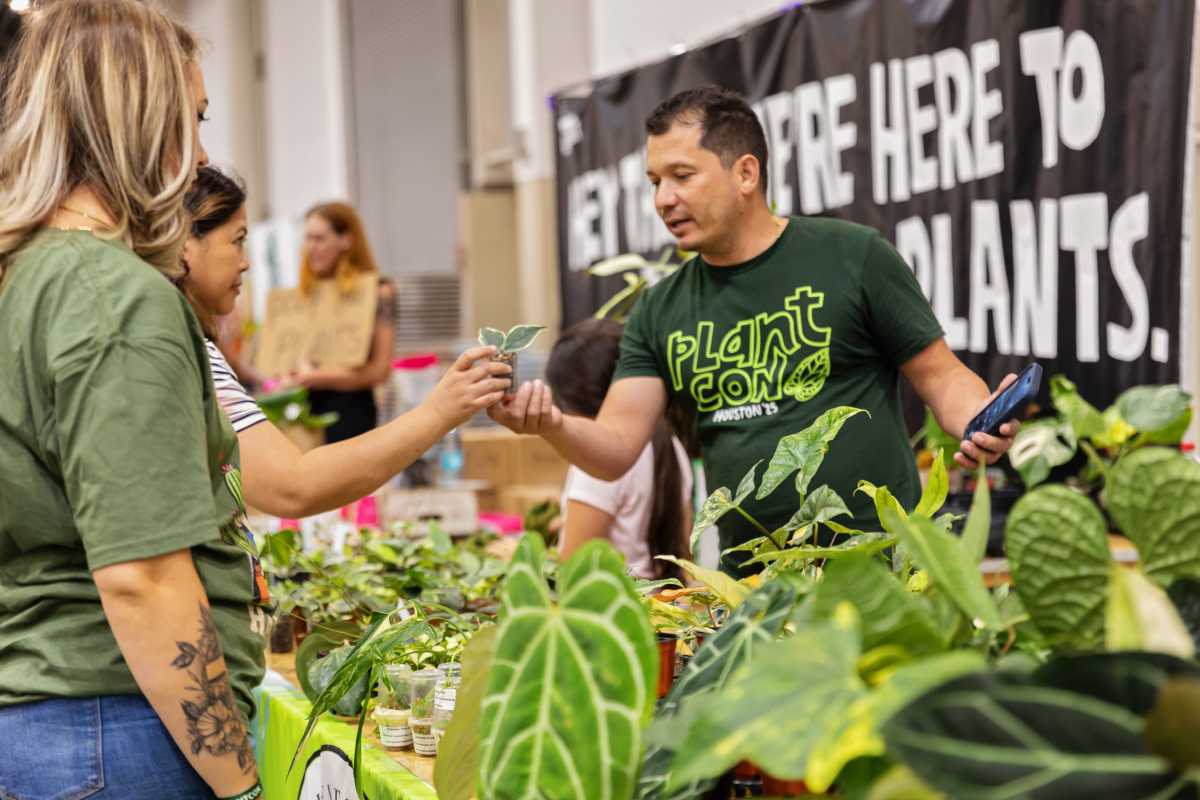 PlantCon Photo 7