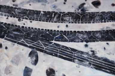 Fresh Tire Tracks and Other Snow Markings