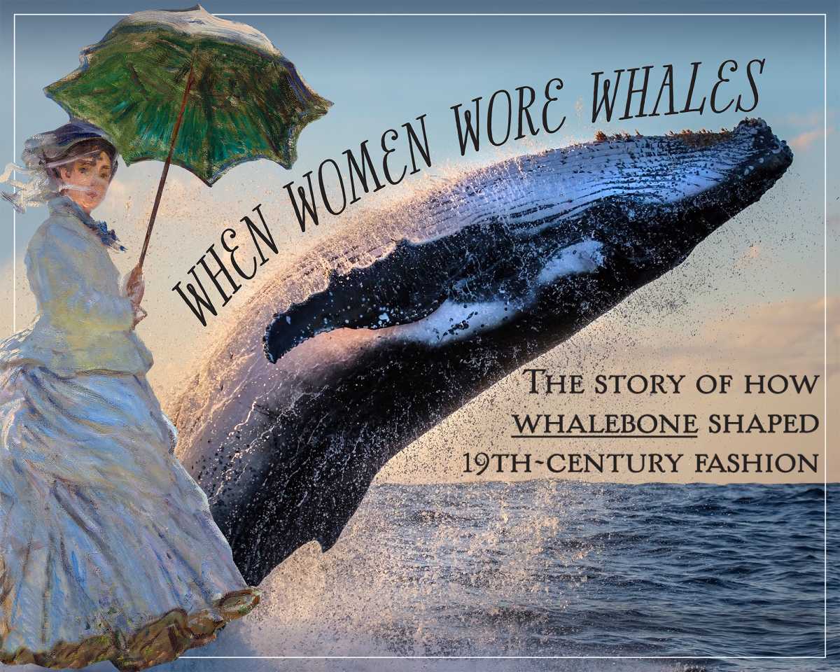 Whales with Title for Web RGB
