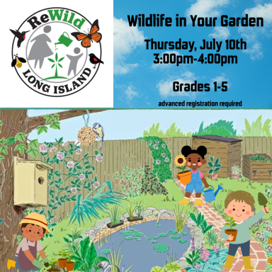 Wildlife in Your Garden (1)