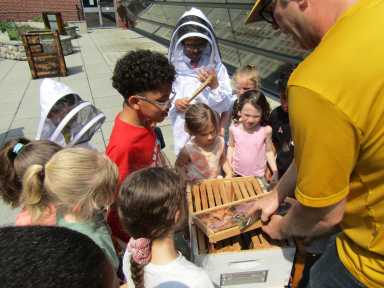 bug day SM