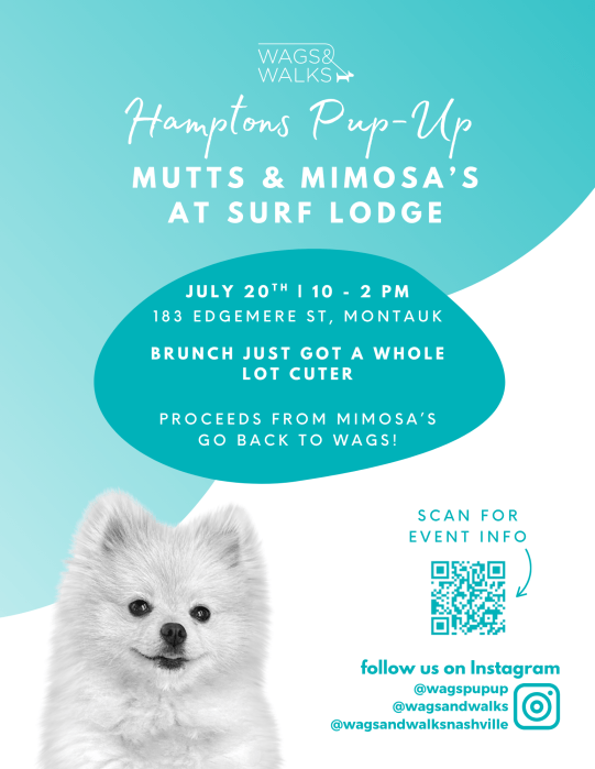 Join Wags & Walks at Surf Lodge on J