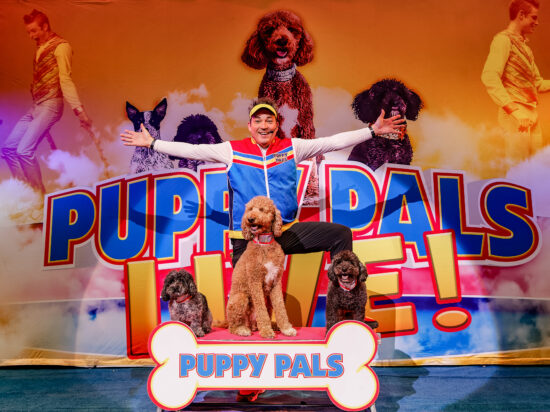 puppy